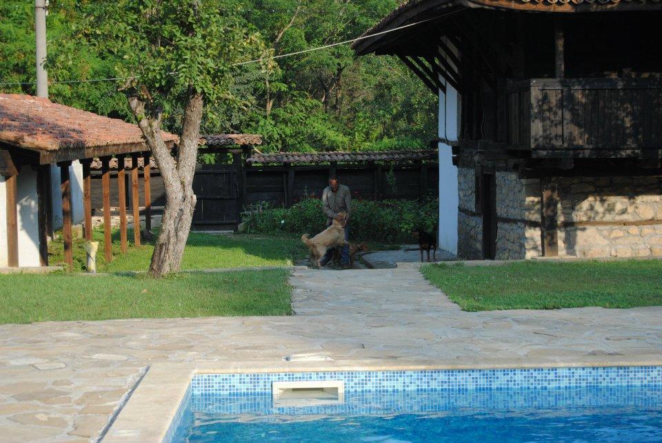 Ecopark Elena Hotel ภายนอก รูปภาพ