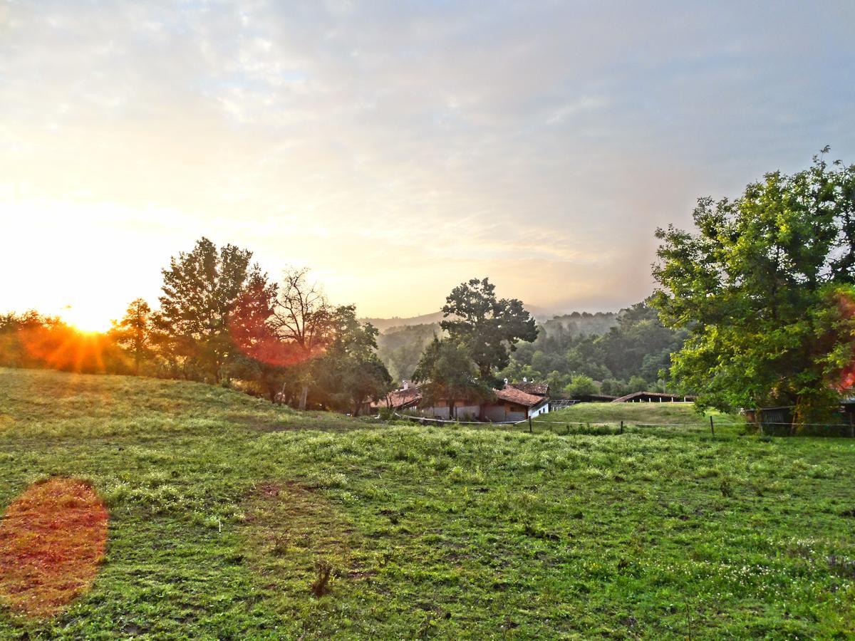 Ecopark Elena Hotel ภายนอก รูปภาพ