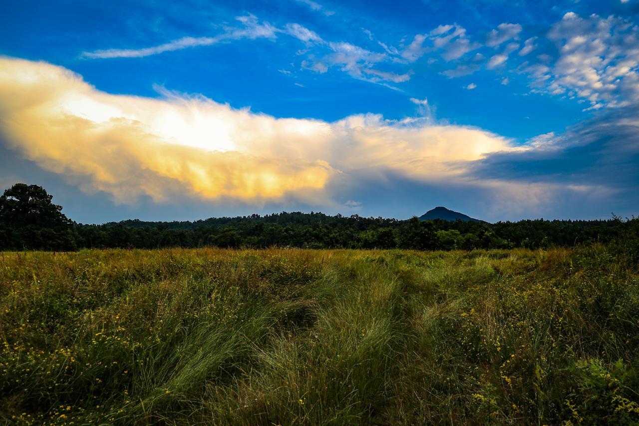 Ecopark Elena Hotel ภายนอก รูปภาพ